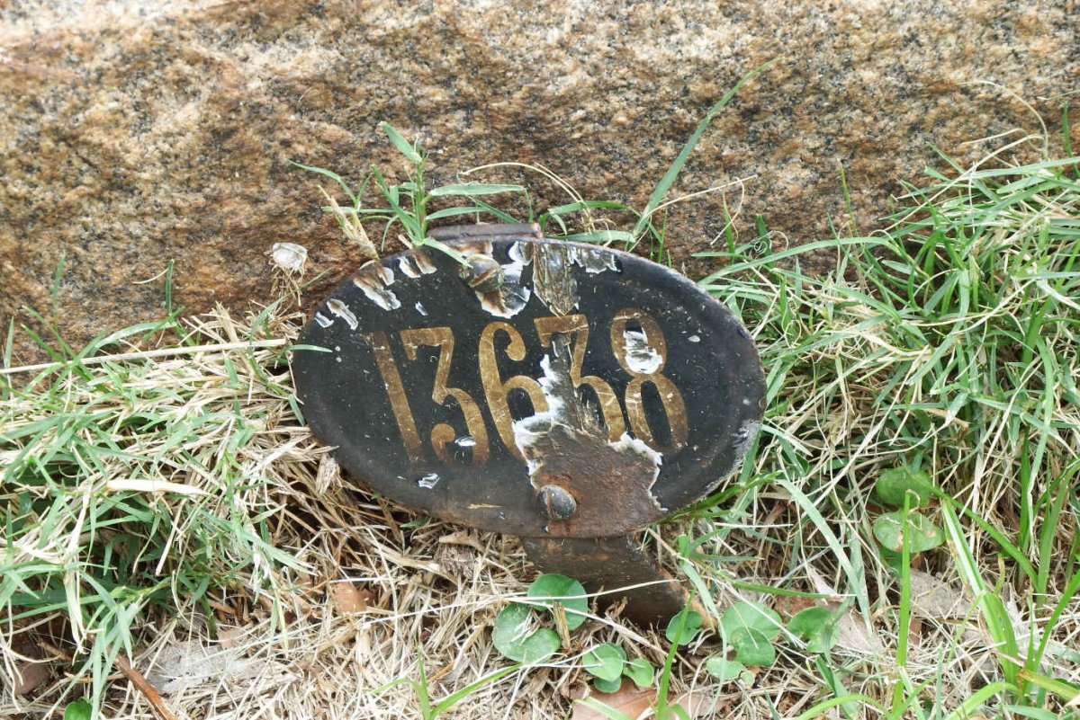 ? 13638