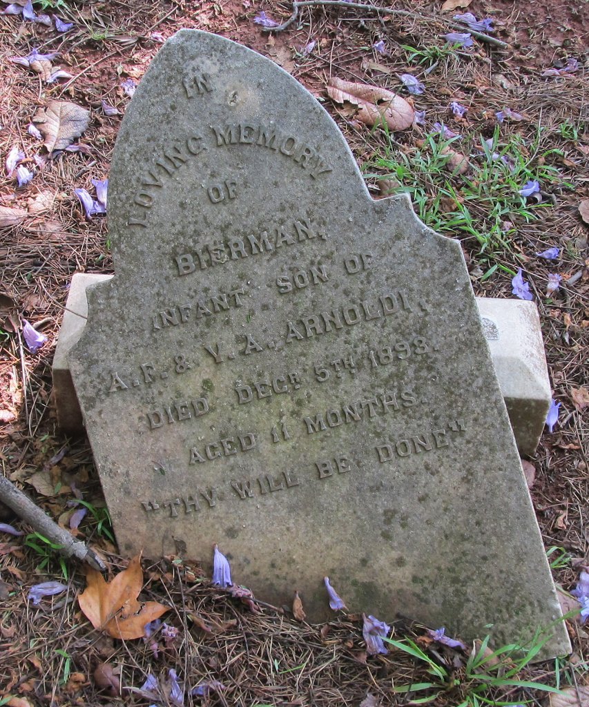 ARNOLDI Bierman -1893