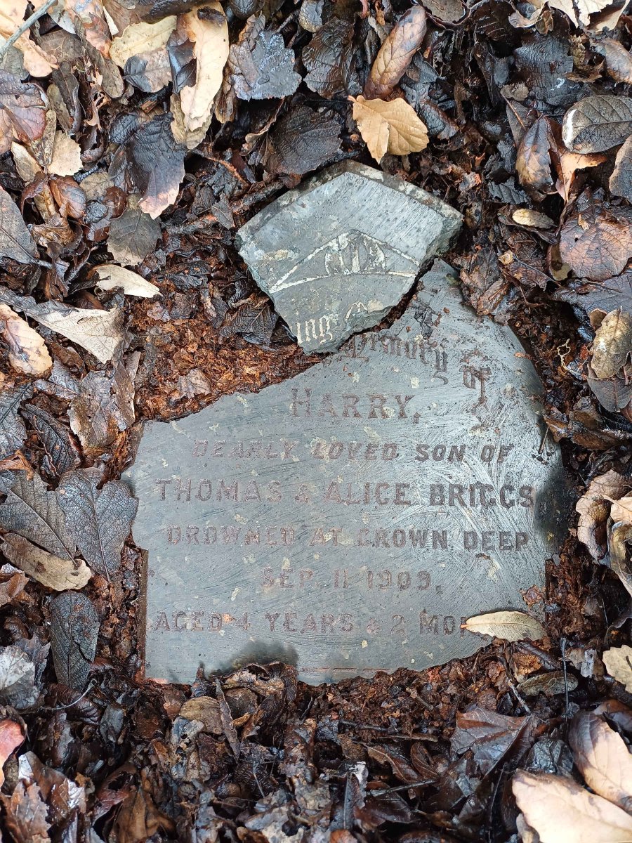 BRIGGS Harry -1909