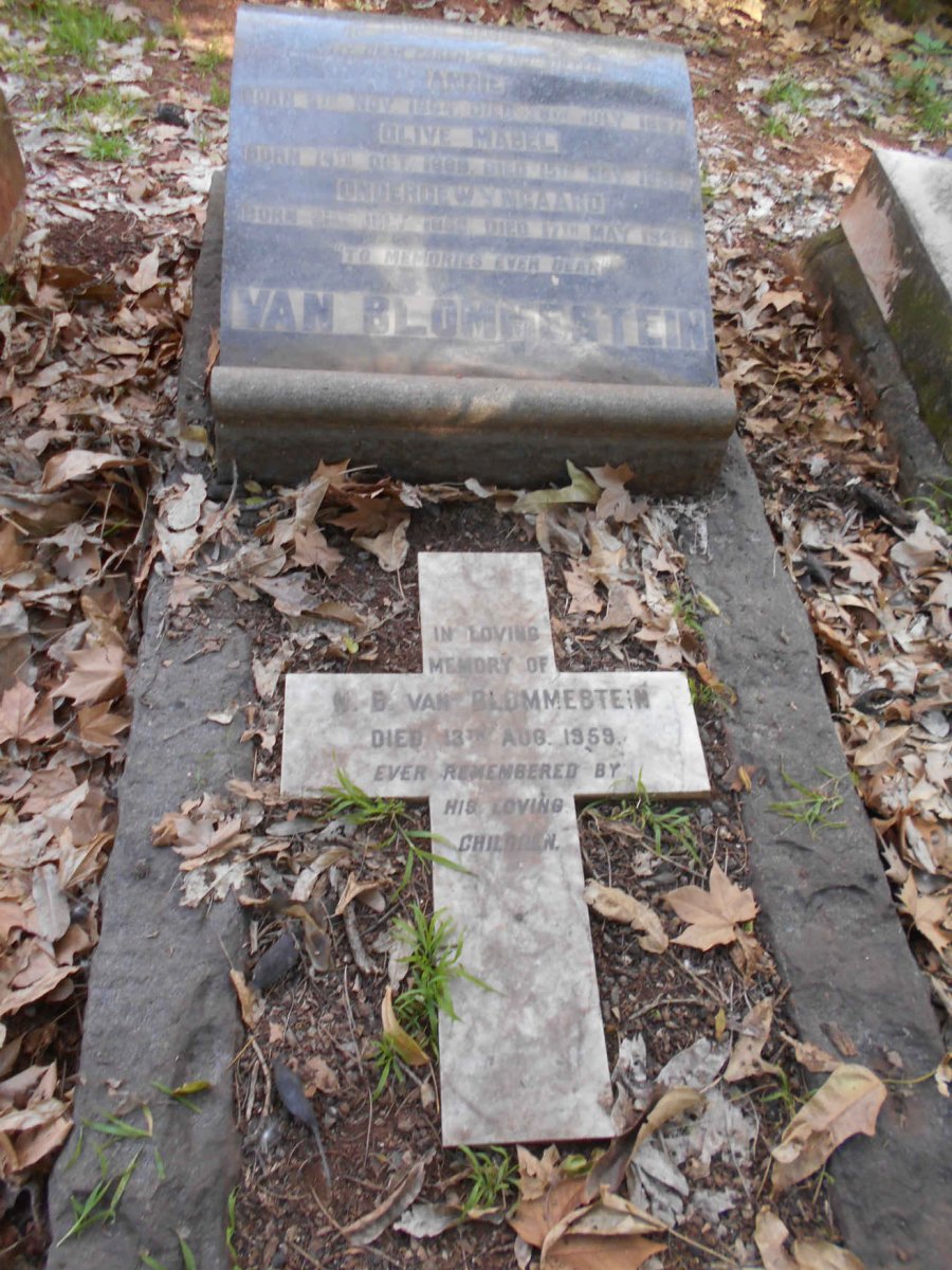BLOMMESTEIN Onderdewyngaard, van 1858-1946