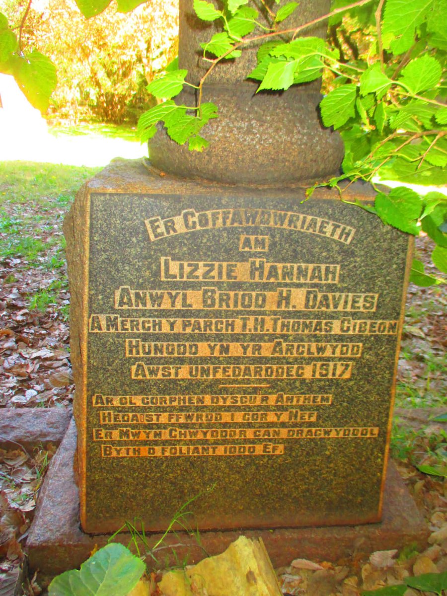 DAVIES Lizzie Hannah nee GIBEON -1917