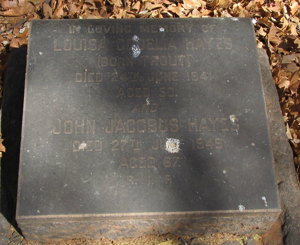 HAYES John Jacobus -1949 &amp; Louisa Codelia TROUT -1941