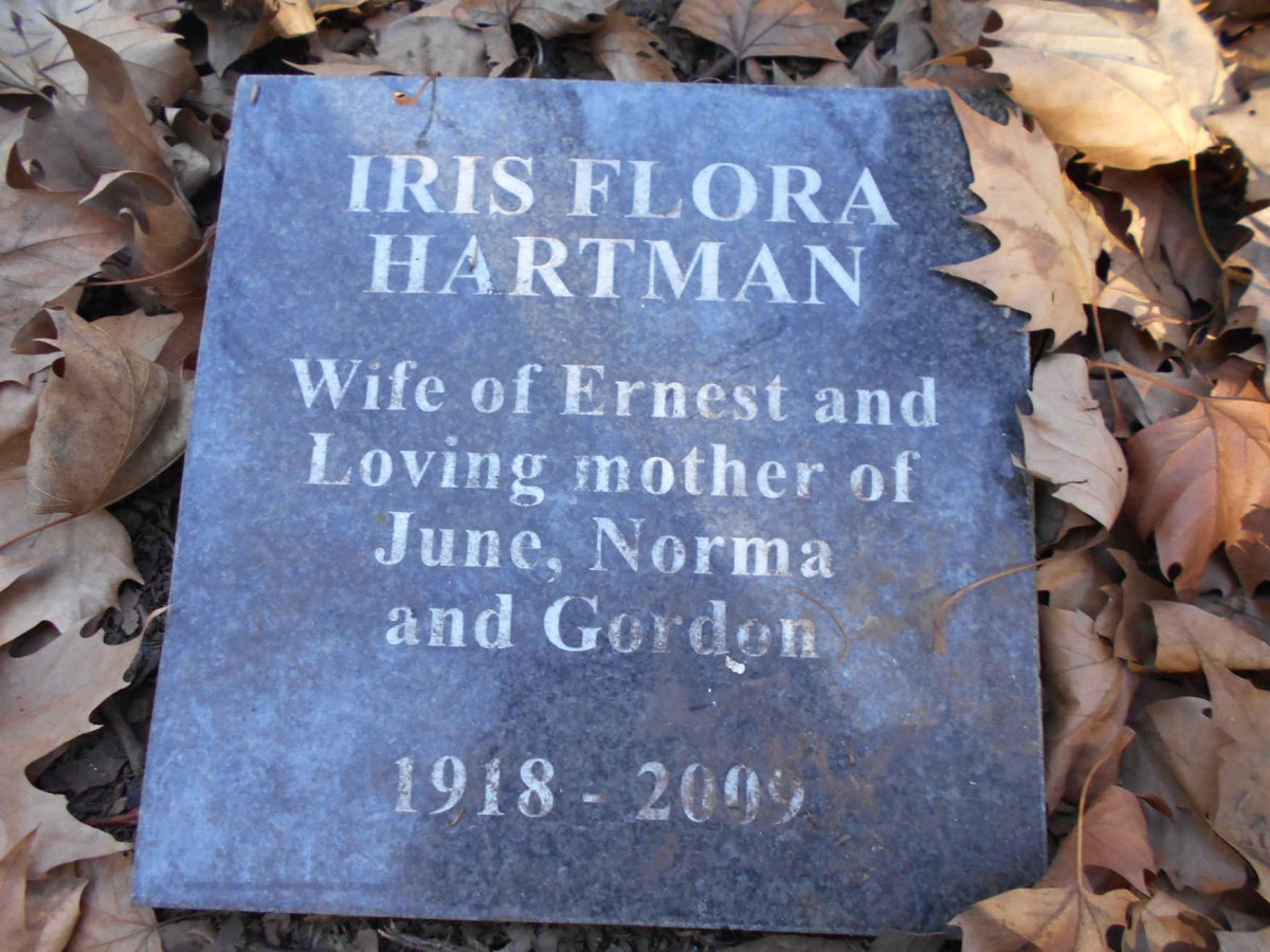 HARTMAN Iris Flora 1918-2009