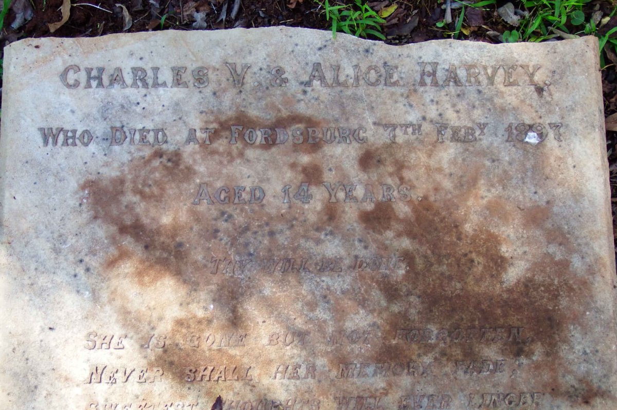HARVEY Alice Mable Vivian -1897