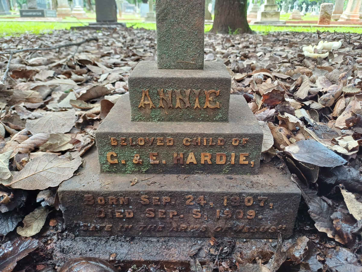 HARDIE Annie 1907-1909