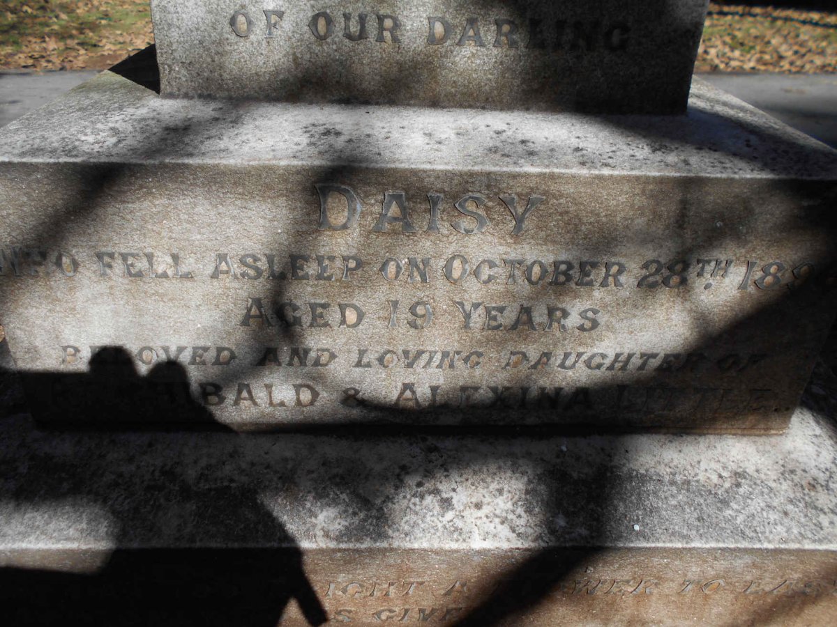 LITTLE Daisy -189?