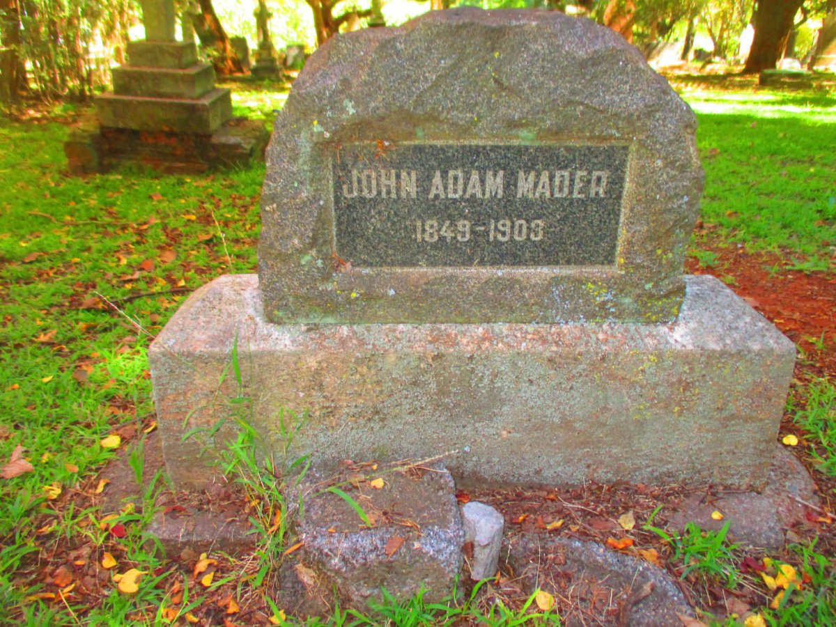 MADER John Adam 1849-1903
