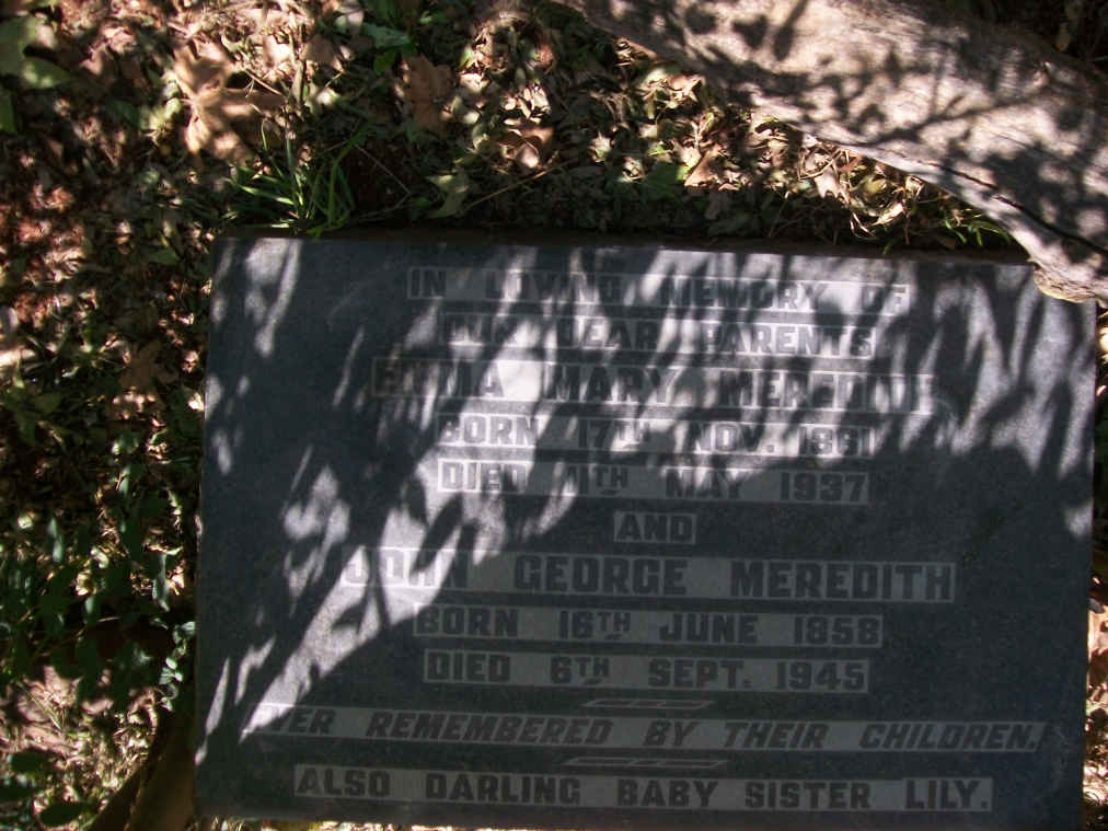 MEREDITH John George 1858-1945 & Emma Mary 1861-1937 :: MEREDITH Lily