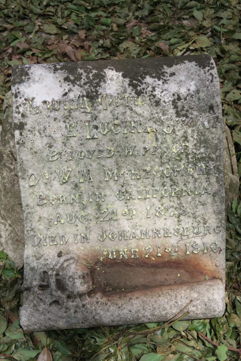 MONTGOMERY Alice Lucina nee STONE 1878-1910