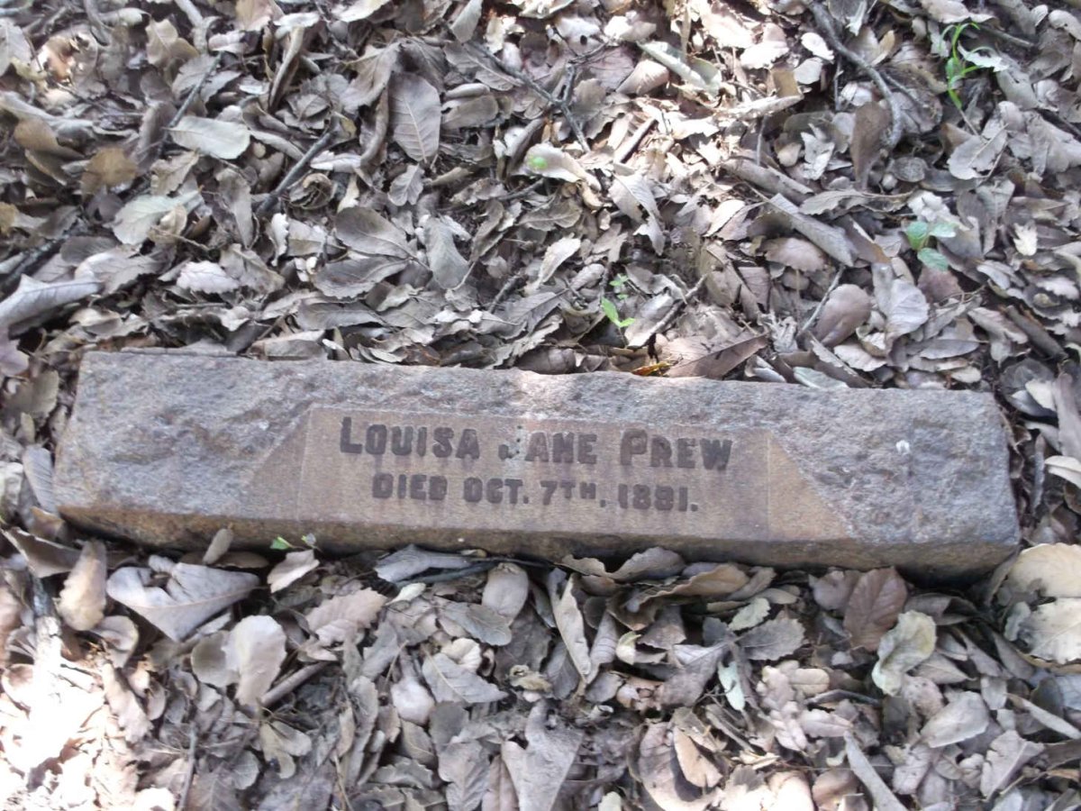 PREW Louisa Jane -1891