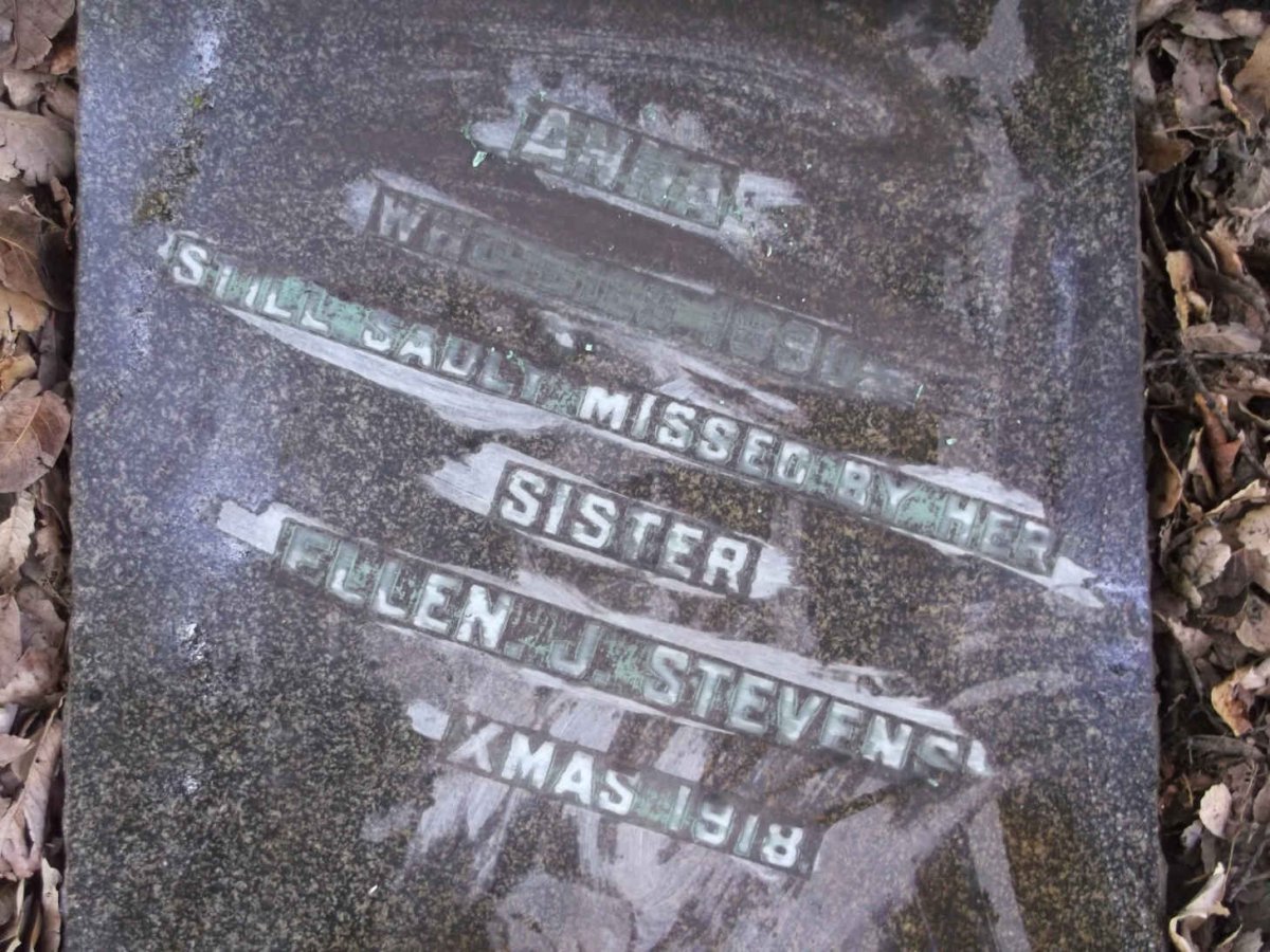 STEVENS Anna -1890