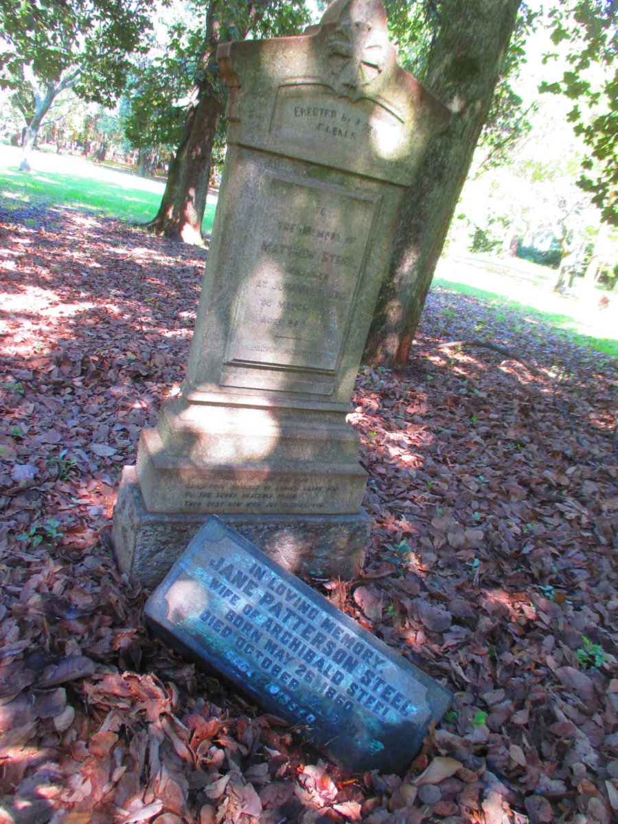 STEEL Mathew -? :: STEEL Jane nee PATTERSON 1860-1930