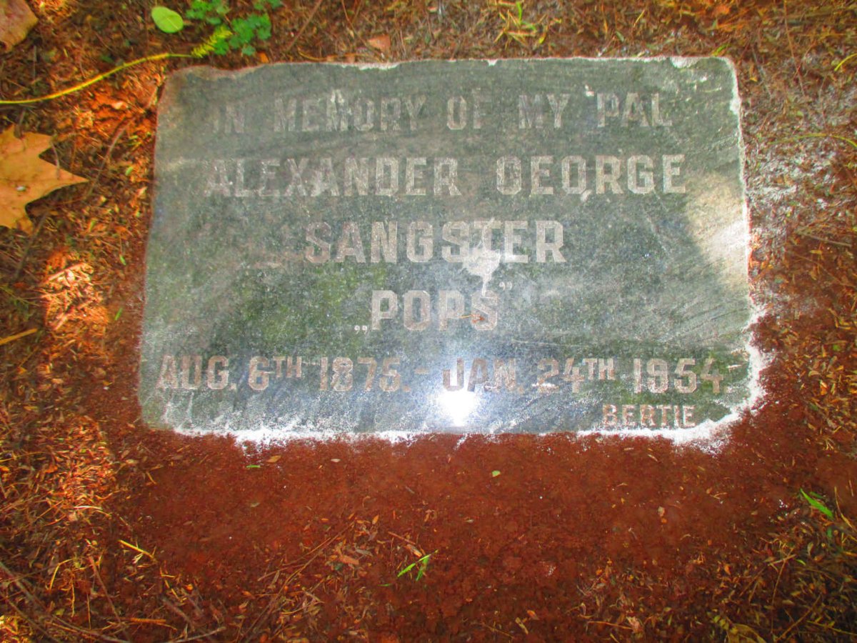 SANGSTER Alexander George 1875-1954