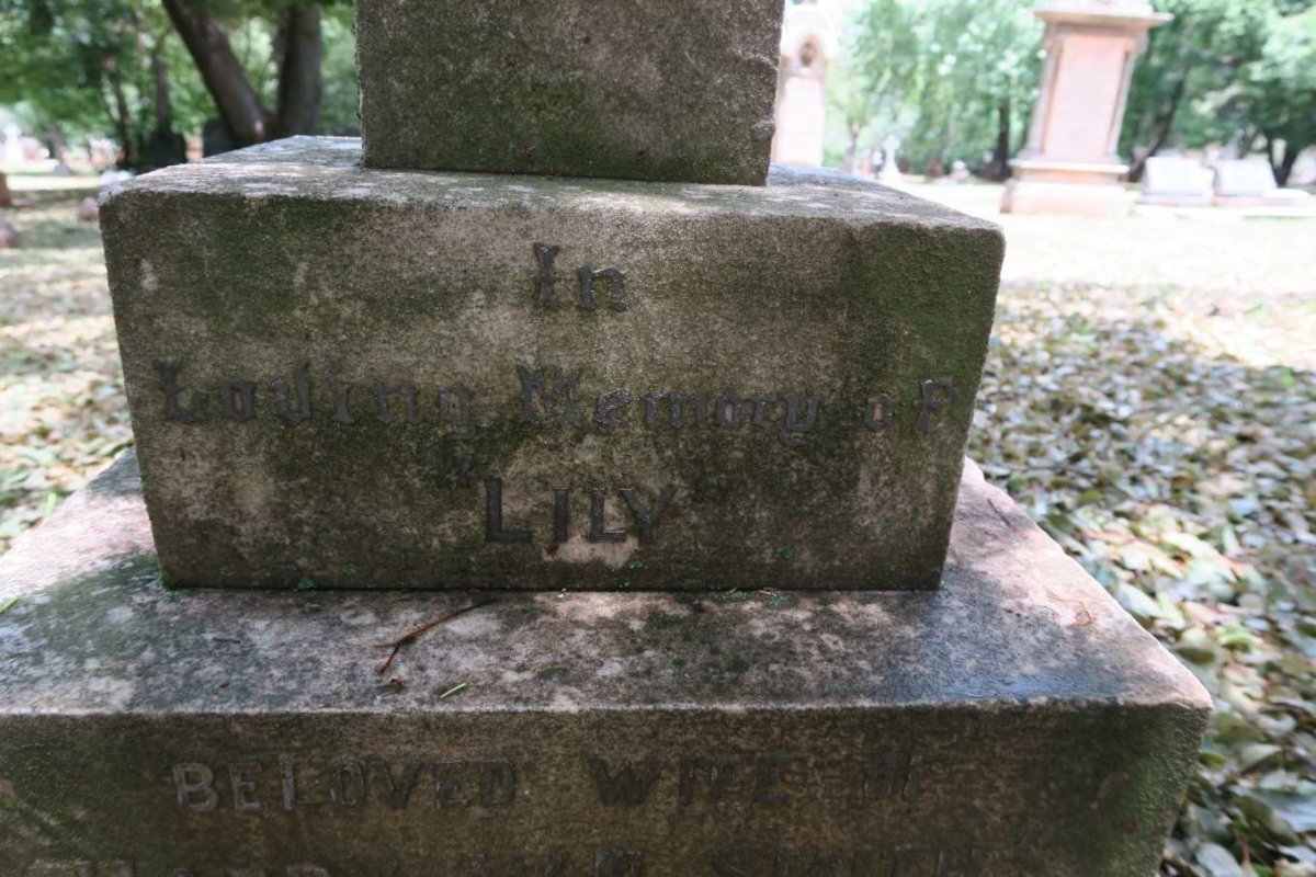 SMITH Lily 1868-1919_1
