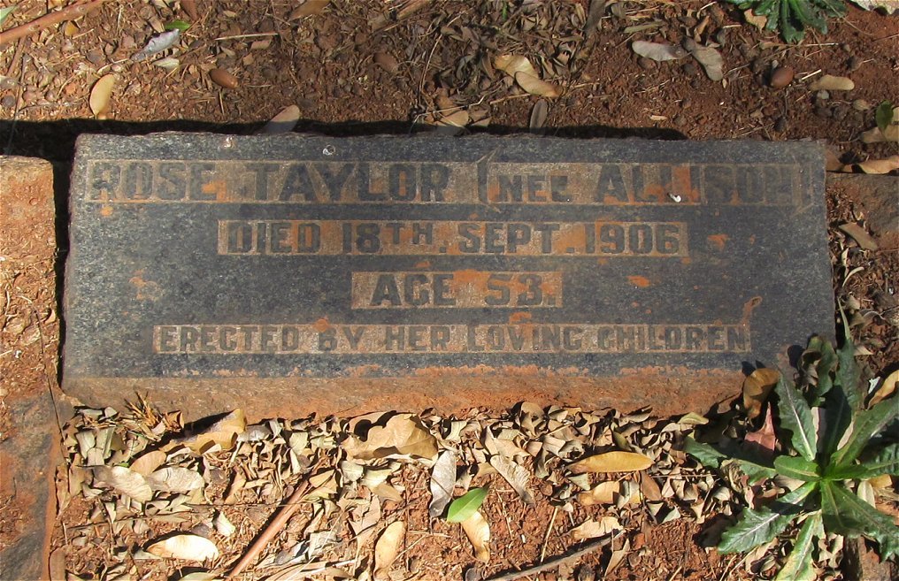 TAYLOR Rose nee ALLISON -1906