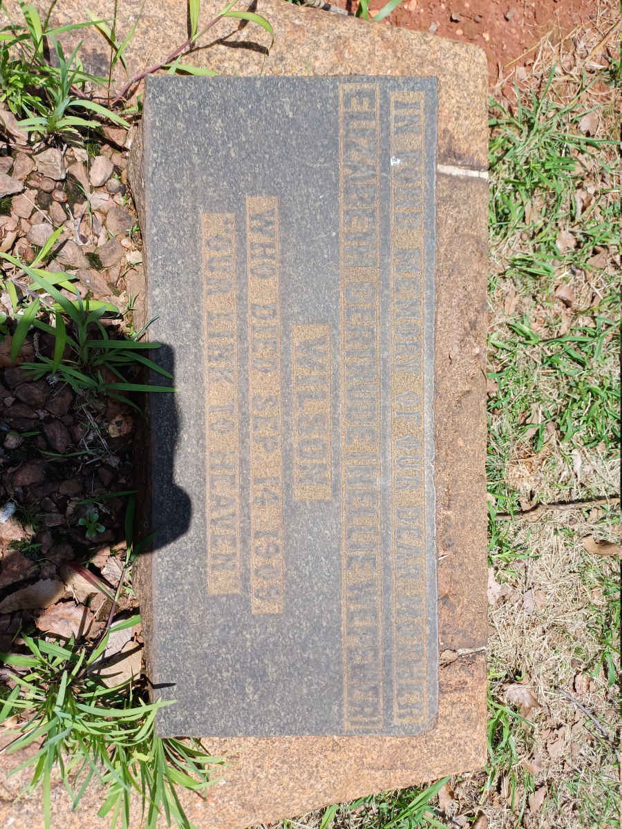 WILSON Elizabeth Gertrude nee WEPENER -1909