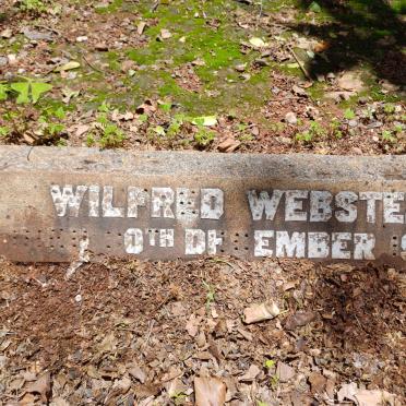 WEBSTER Wilfred -1922