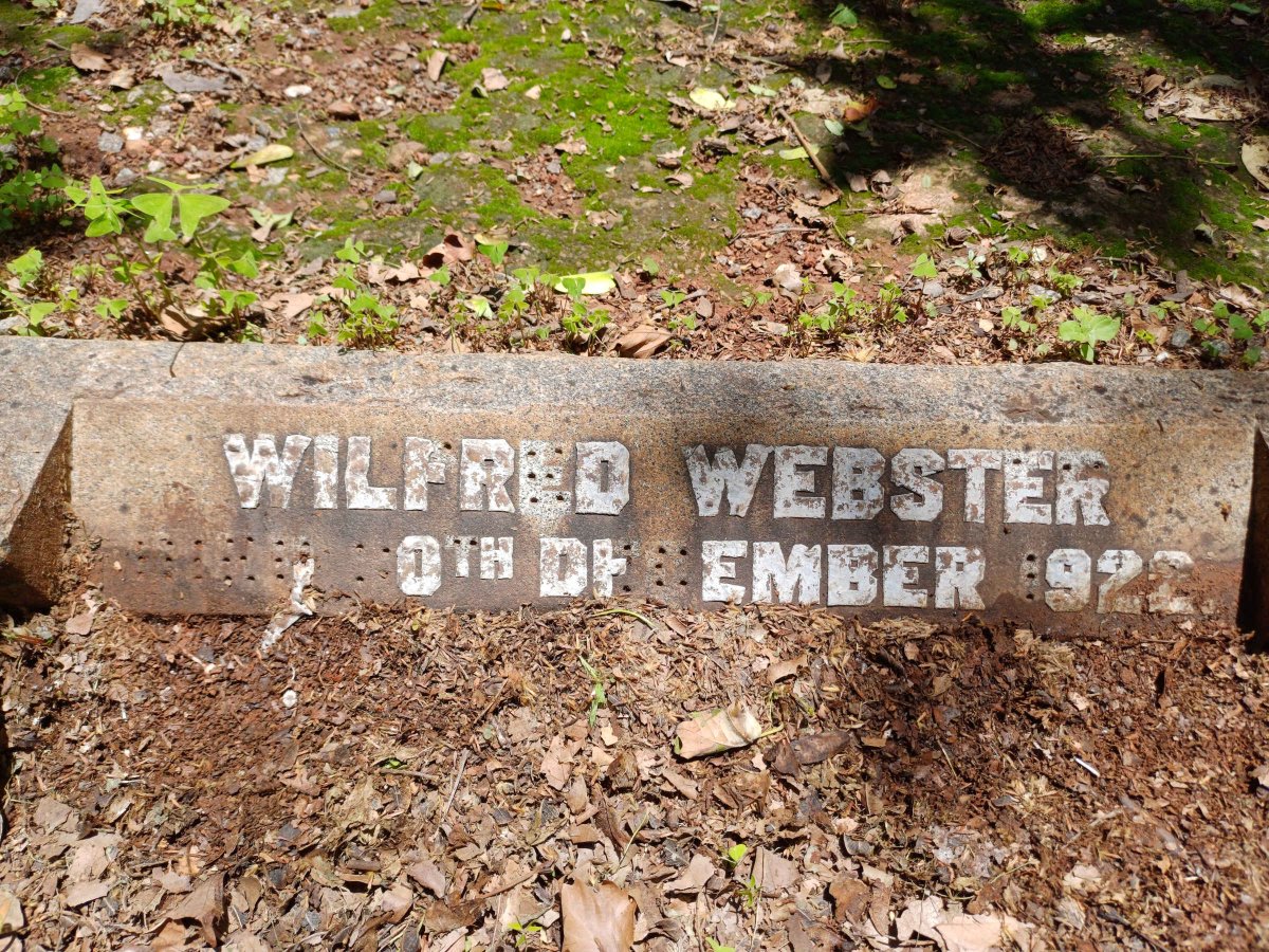 WEBSTER Wilfred -1922