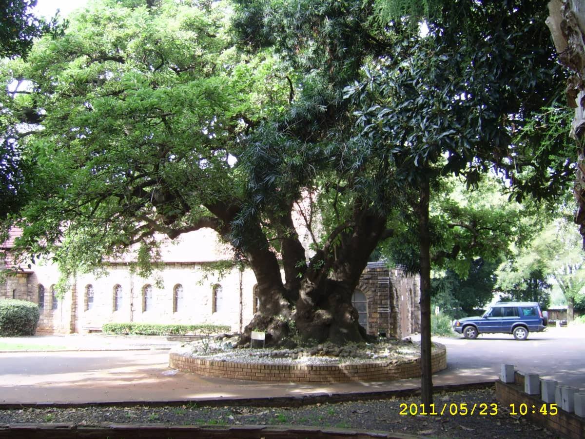 5. Overview