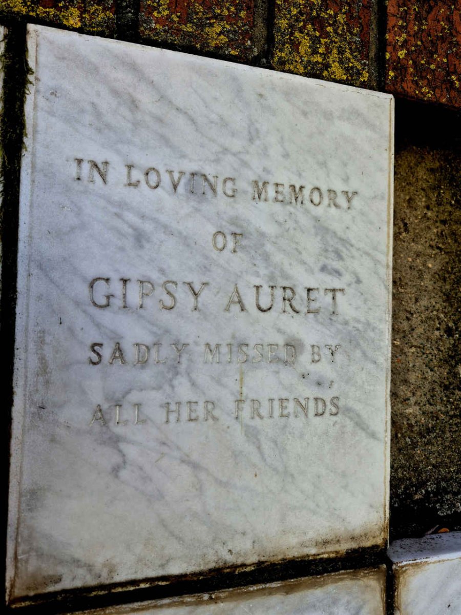 AURET Gipsy