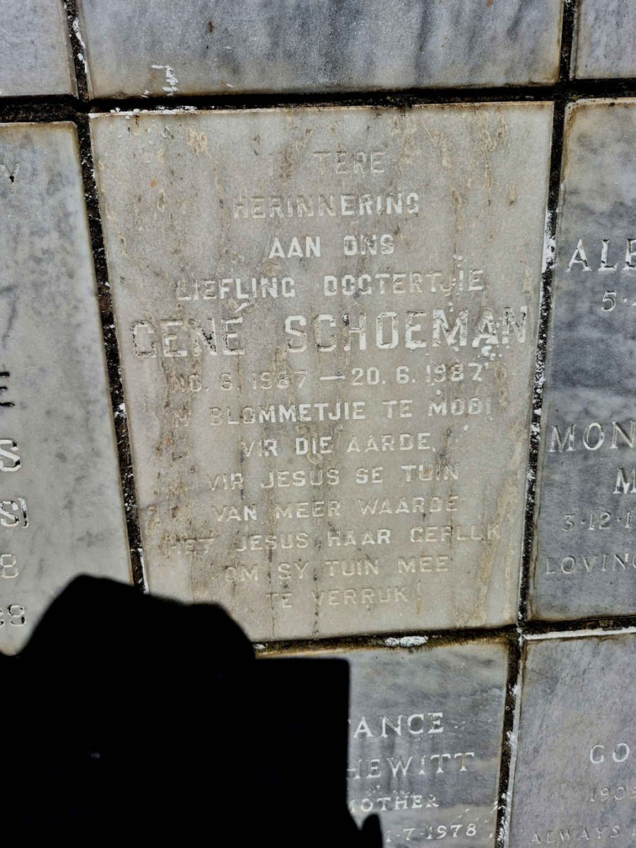SCHOEMAN Gene 1987-1987