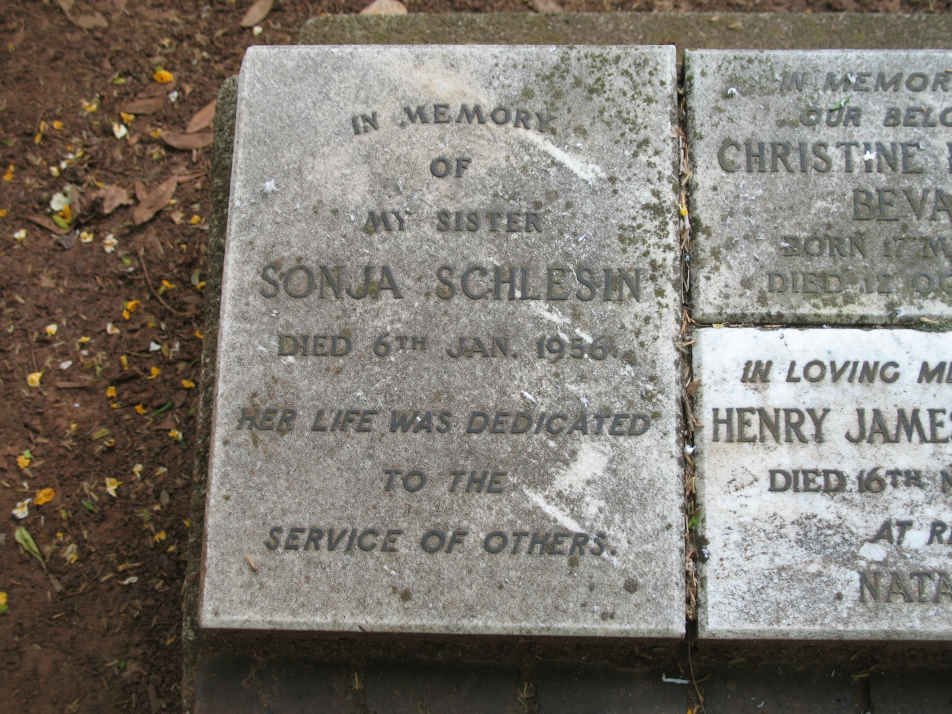 SCHLESIN Sonja -1956