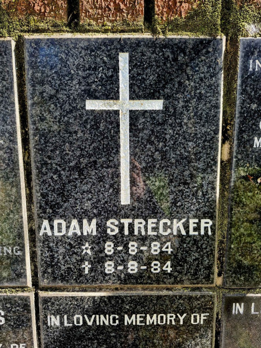STRECKER Adam 1984-1984