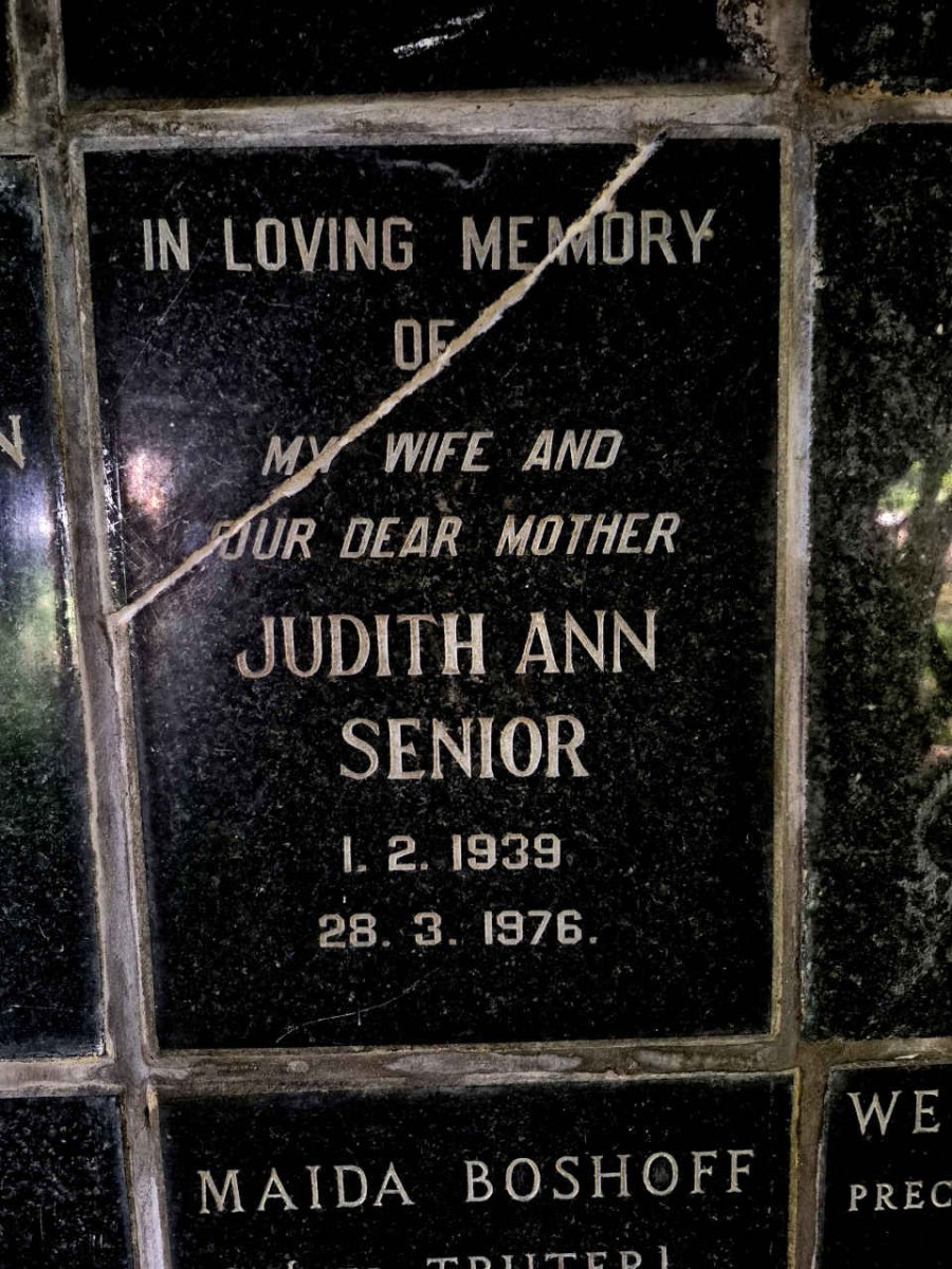 SENIOR Judith Ann 1939-1976
