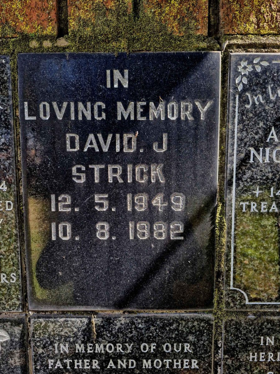 STRICK David J. 1949-1982