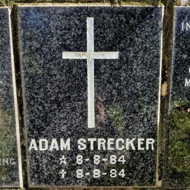 STRECKER Adam 1984-1984