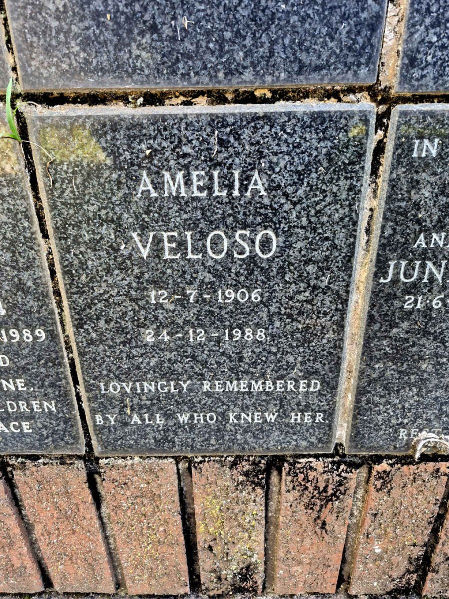 VELOSO Amelia 1906-1988