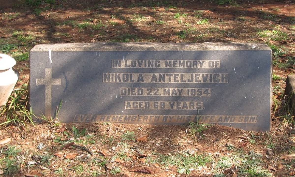 ANTELJEVICH Nikola -1954
