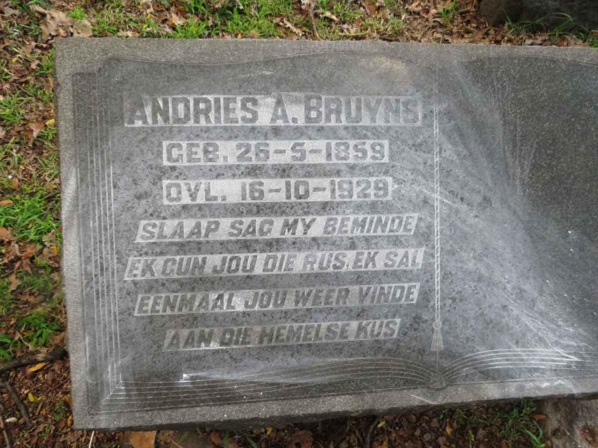 BRUYNS Andries A. 1859-1929