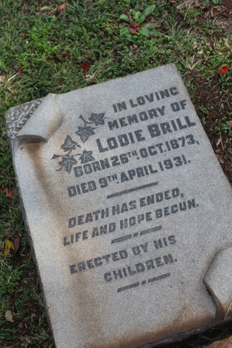 BRILL Lodie 1873-1931