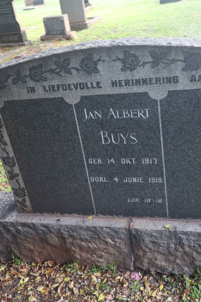 BUYS Jan Albert 1917-1919