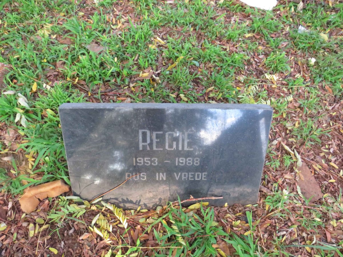 ? Reggie 1953-1988