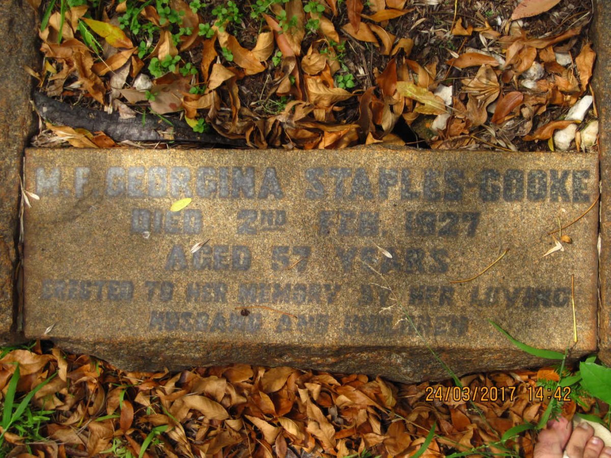COOKE M.F. Georgina, STAPLES -1927