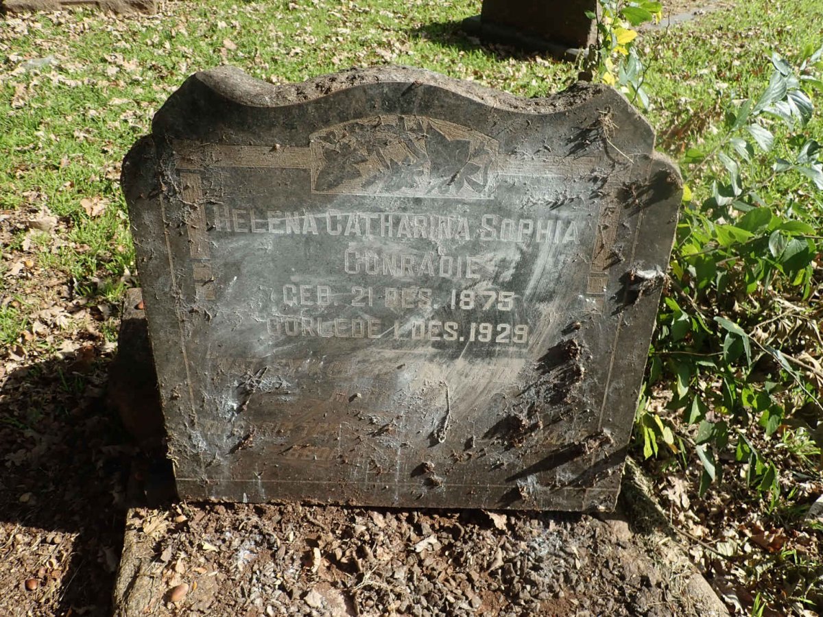 CONRADIE Helena Catharina Sophia 1875-1929