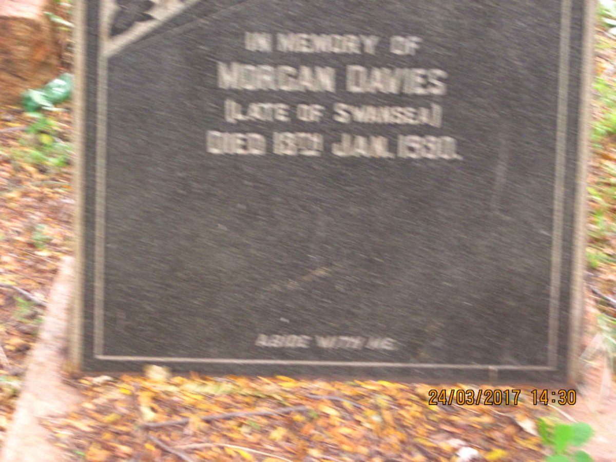 DAVIES Morgen -19?0
