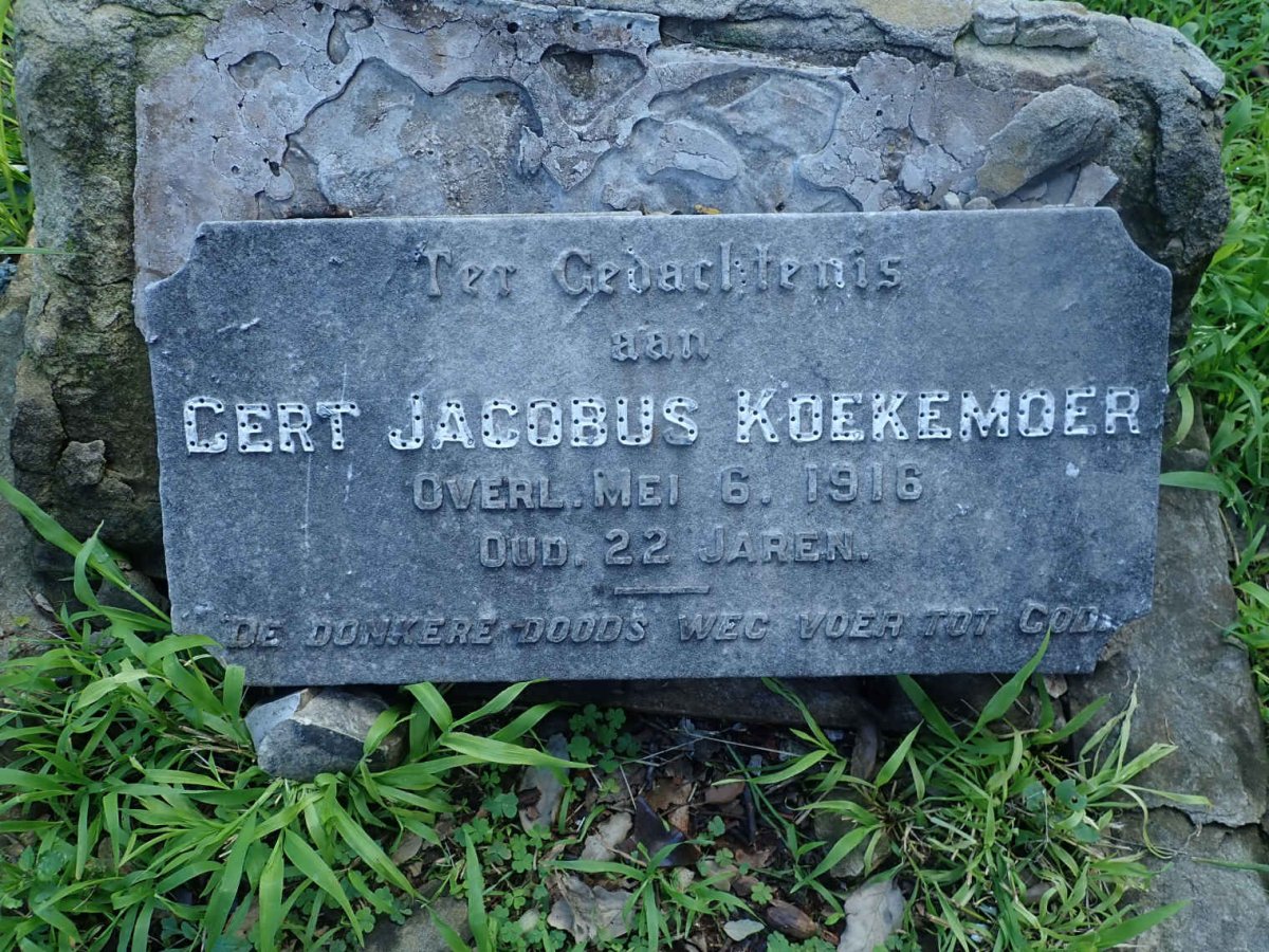 KOEKEMOER Gert Jacobus -1916