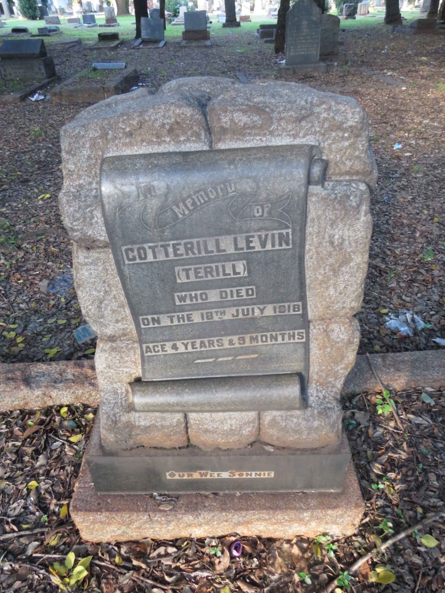 LEVIN Cotterill -1918
