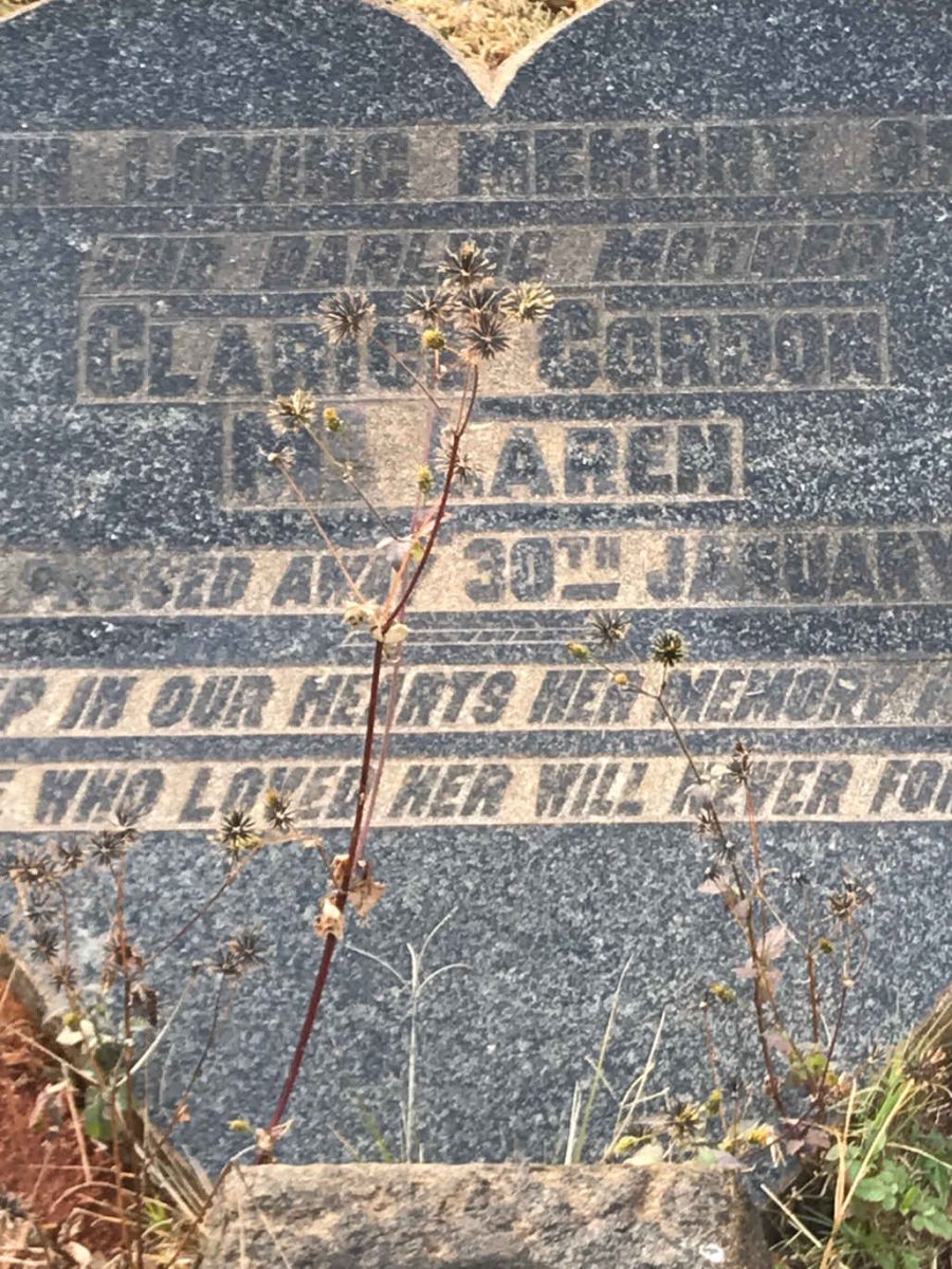 McLAREN Clarice Gordon