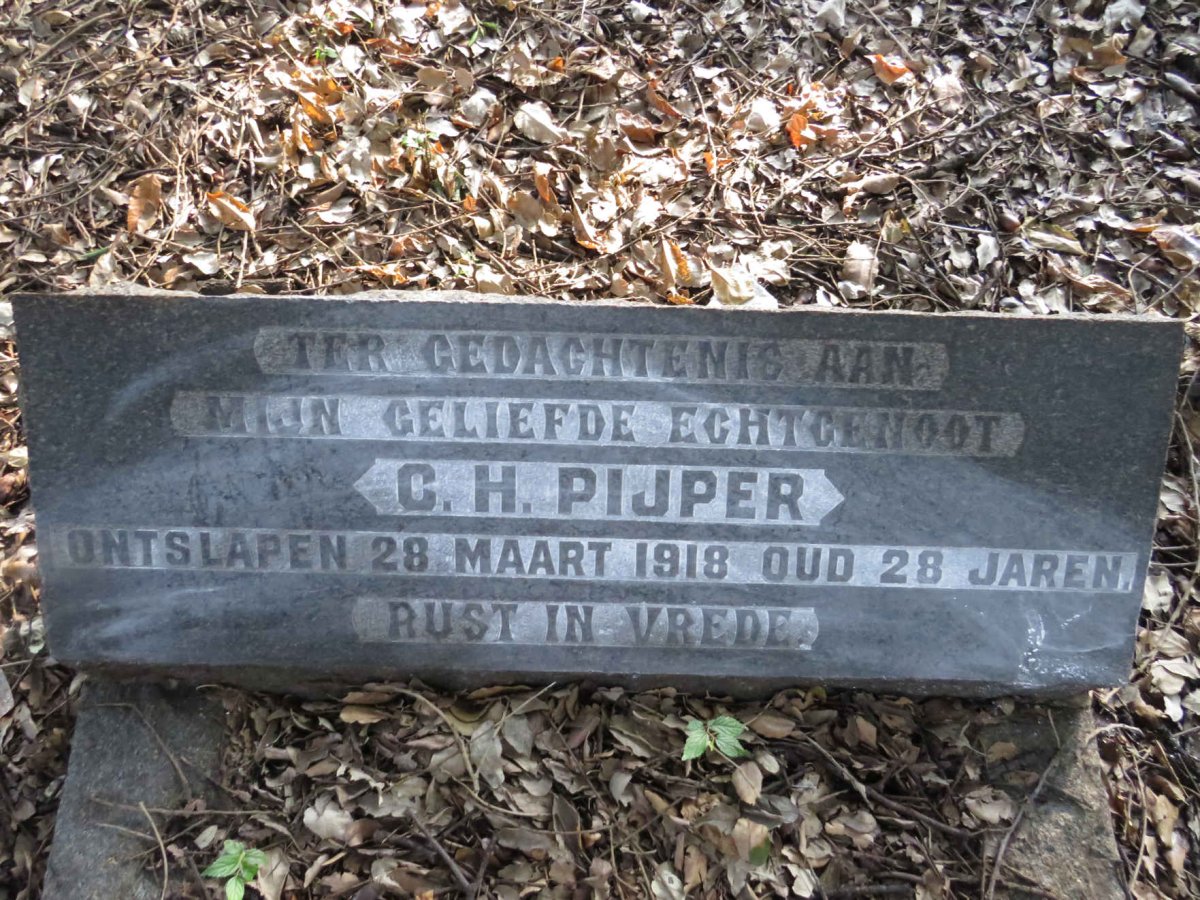 PIJPER C.H. -1918