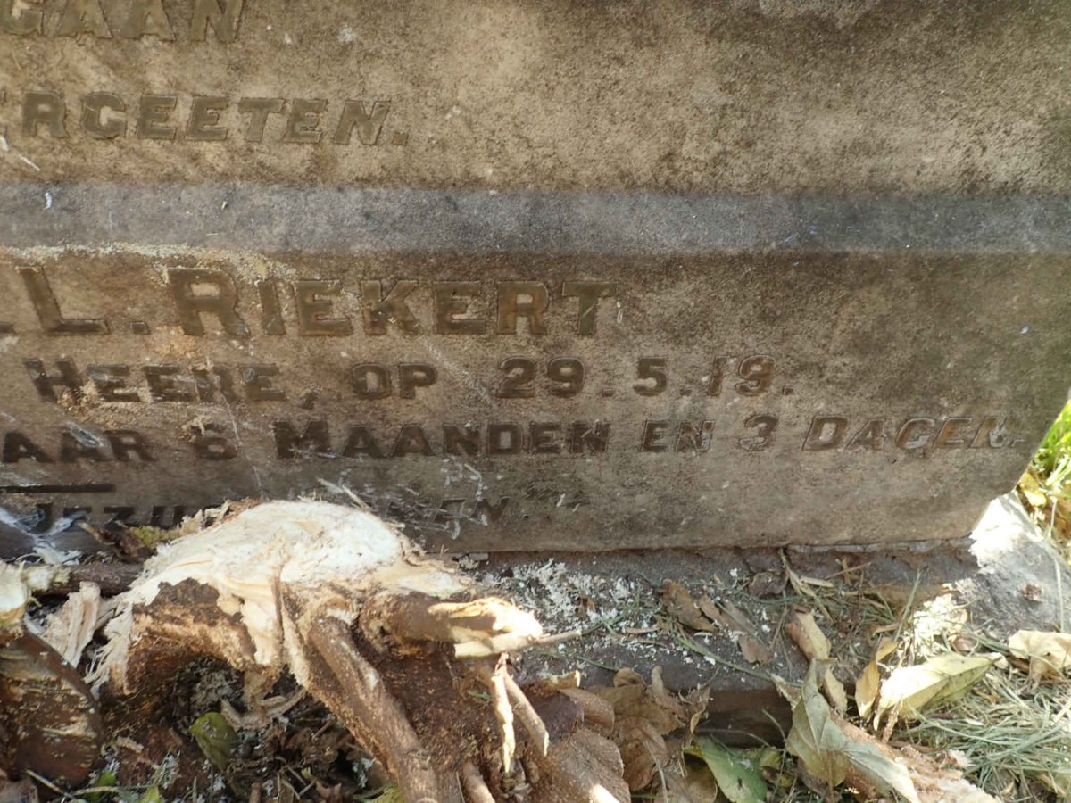 RIEKERT Johannes H.L. -1919