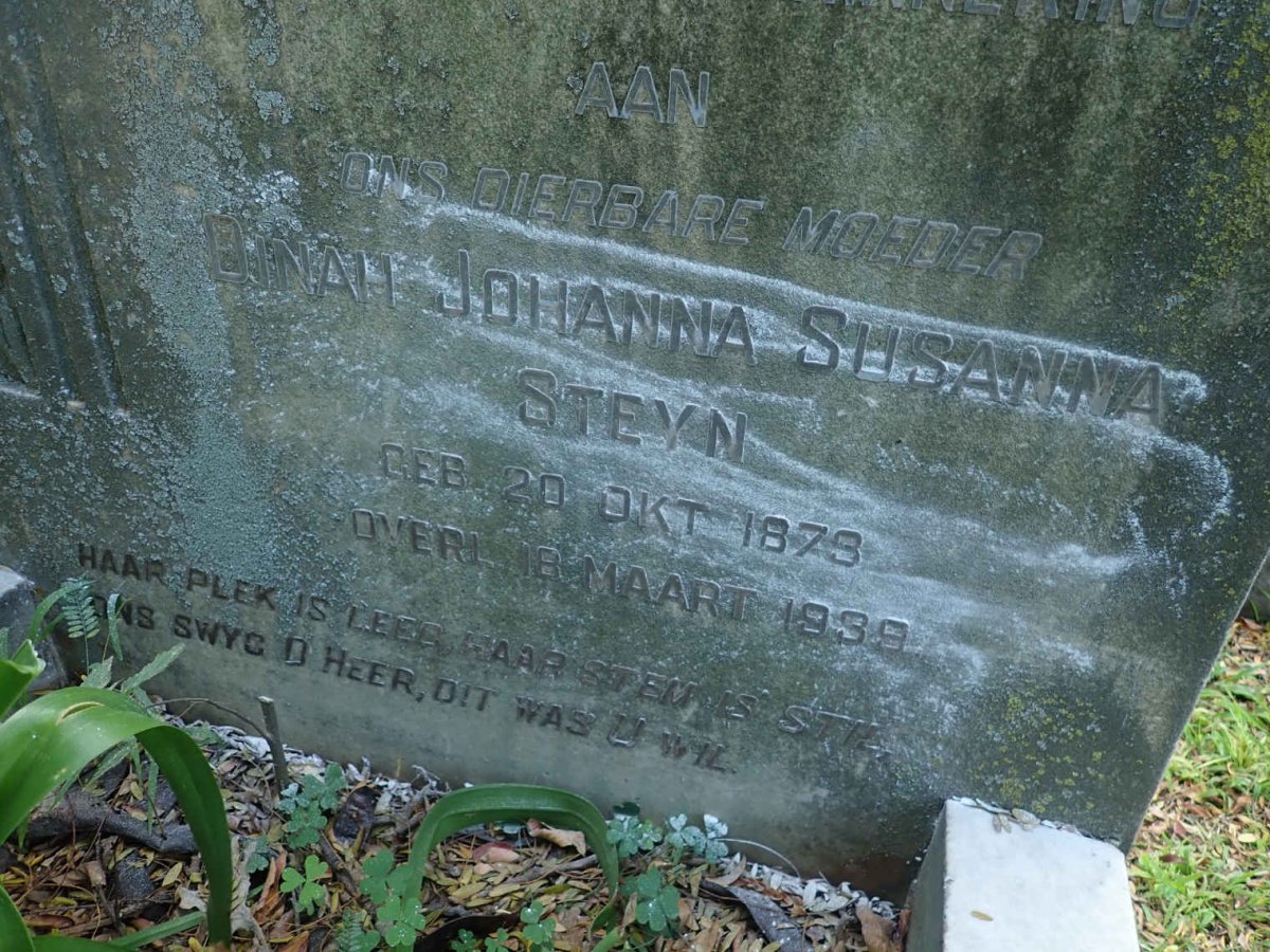 STEYN Dinah Johanna Susanna 1878-1939
