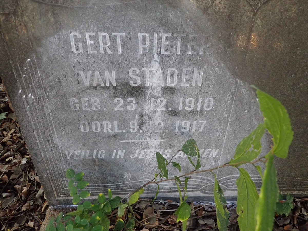 STADEN Gert Pieter, van 1910-1917