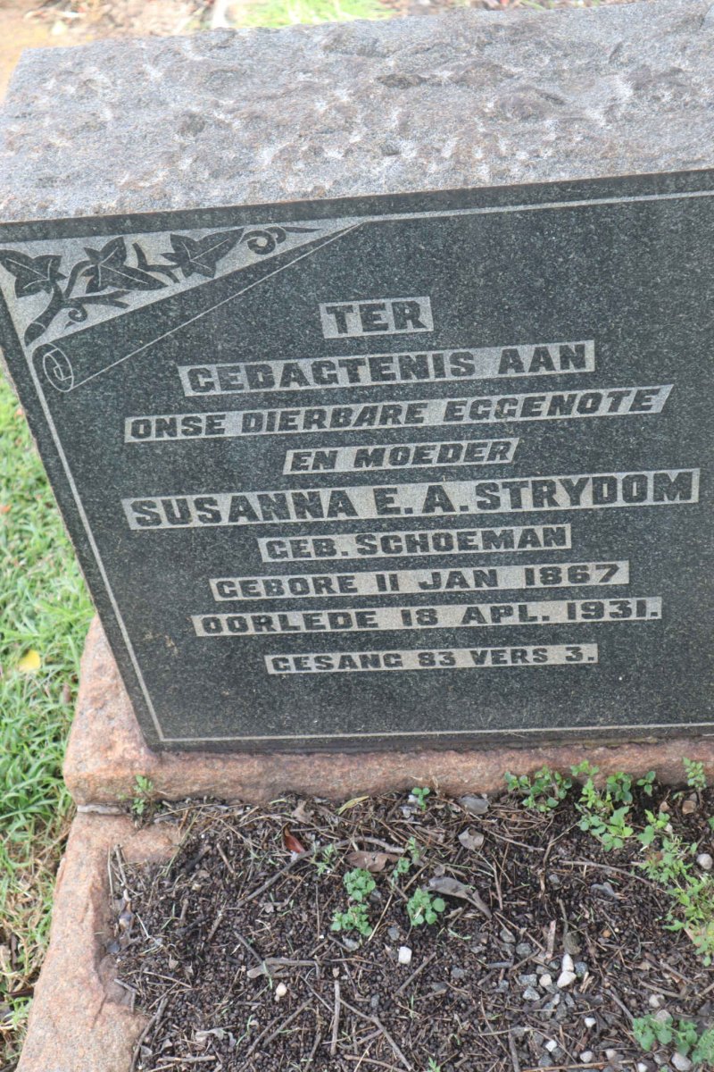 STRYDOM Susanna E.A. nee SCHOEMAN 1867-1931
