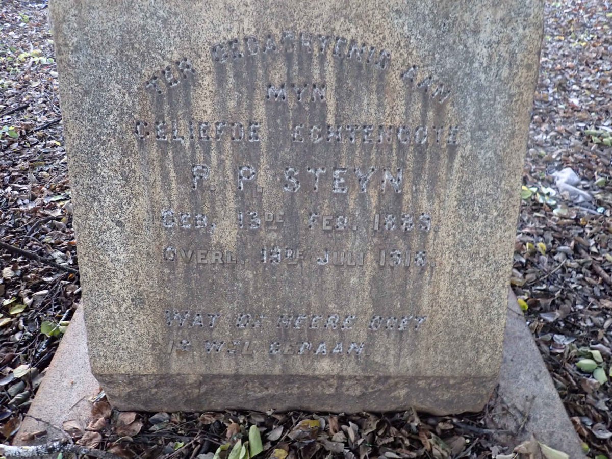 STEYN P.P. 1889-1916