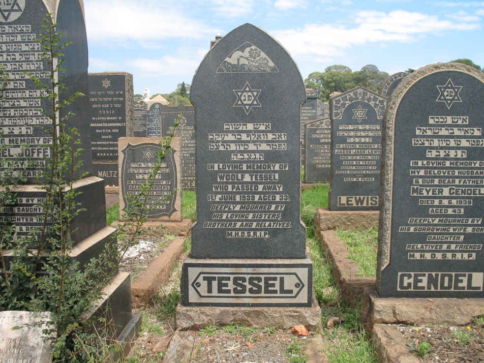 TESSEL Woolf -1939