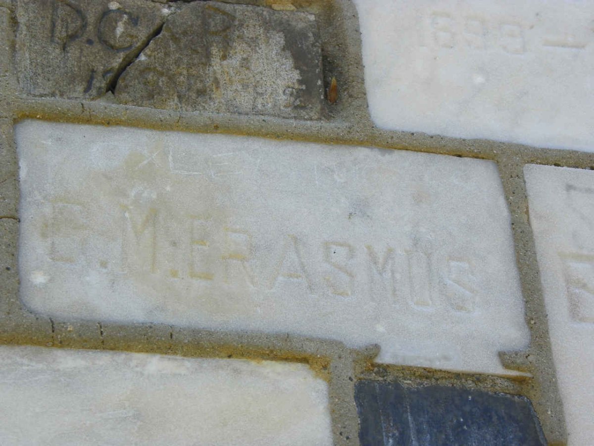 ERASMUS E.M.
